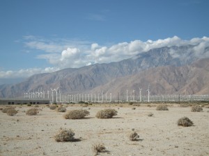 DSCF1105