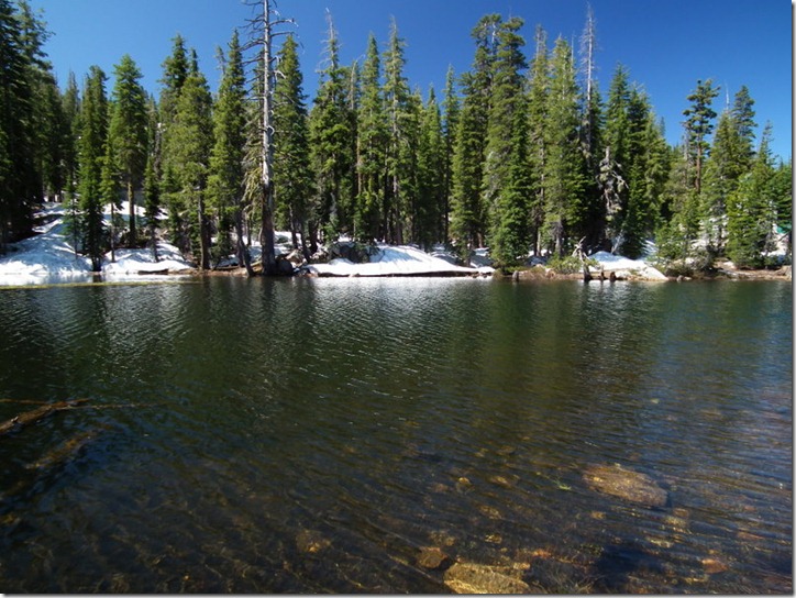 DSCF2841